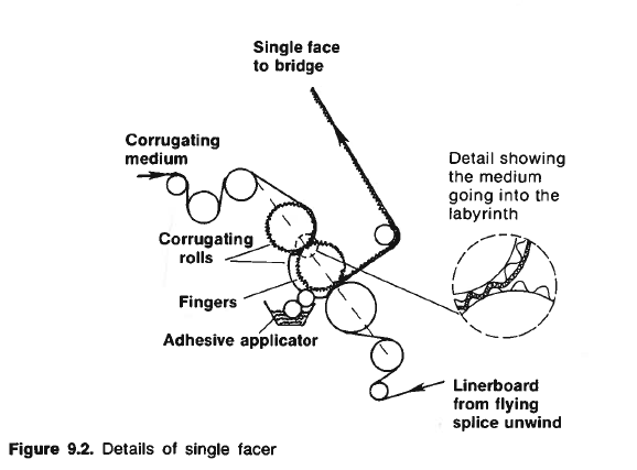 single facer drawing